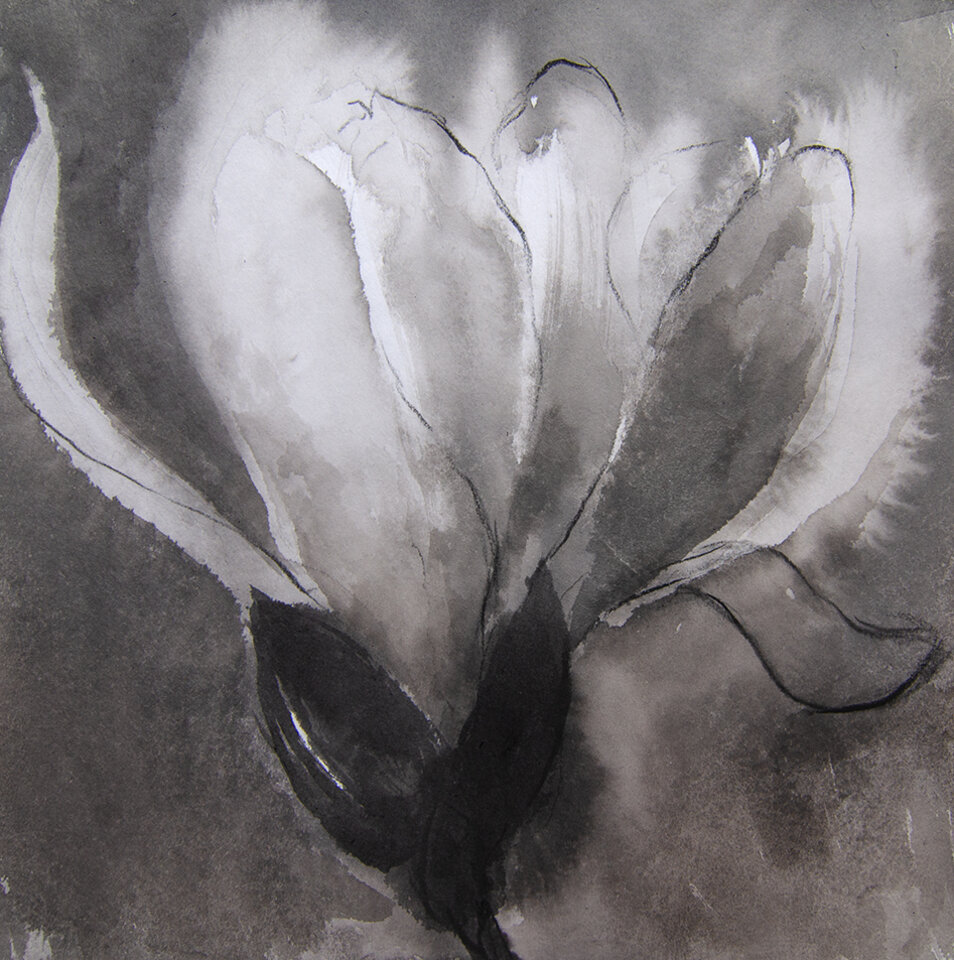 Anita Voigt: Magnolia 2601