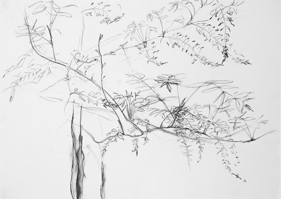 Anita Voigt: Blauregen