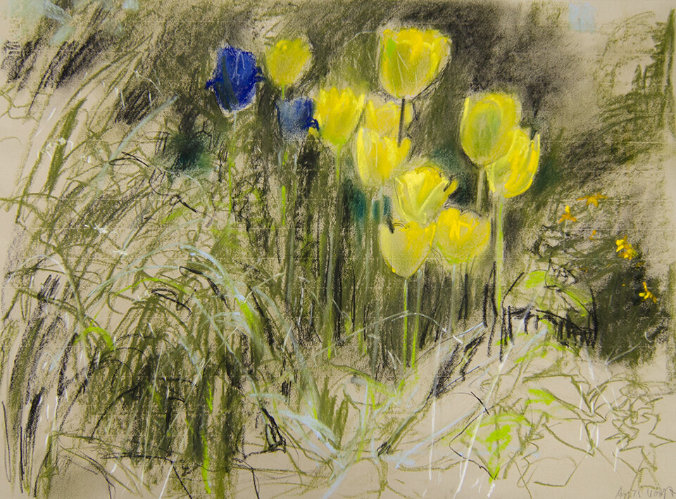 Anita Voigt - Tulpen