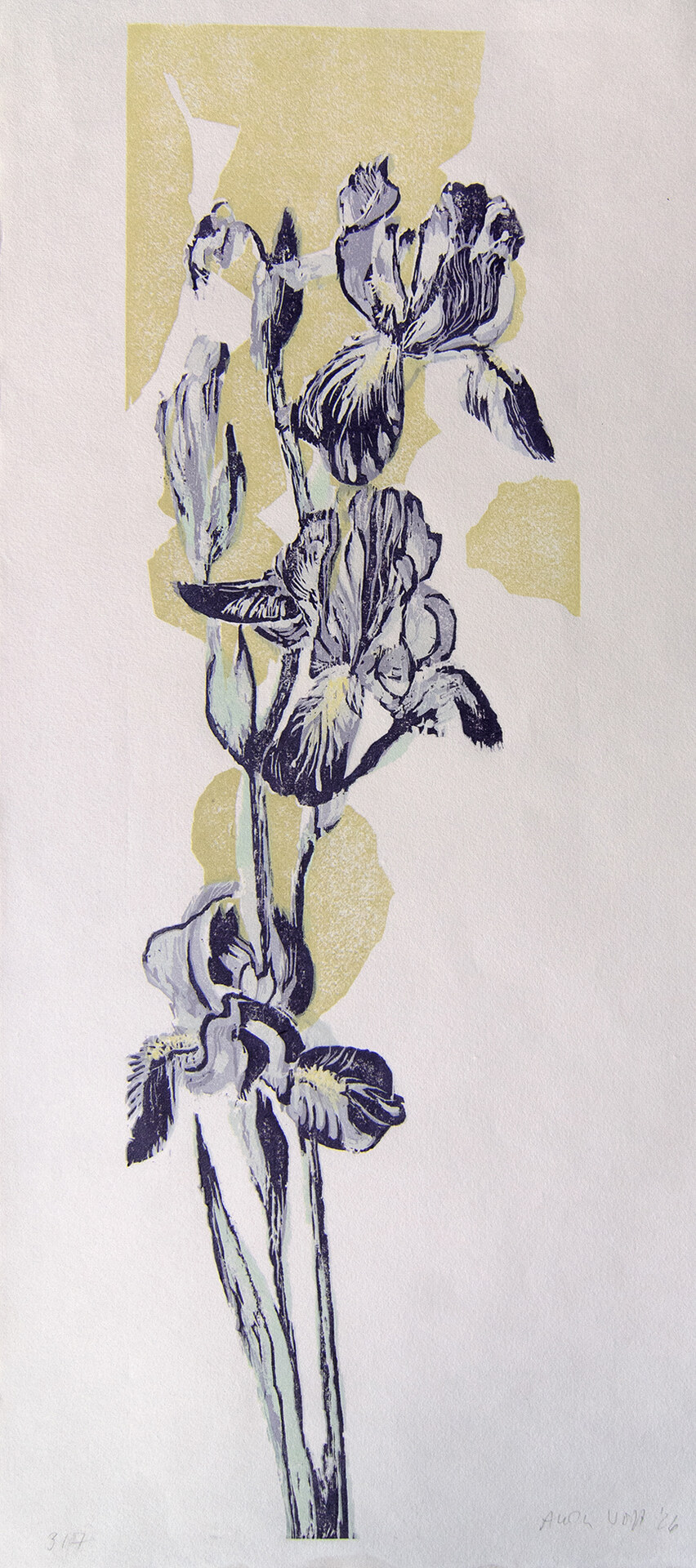 Anita Voigt: Iris