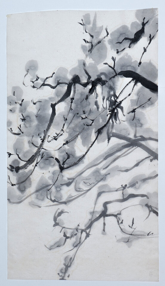 Anita Voigt: Nasser Schnee auf der Sternmagnolie II