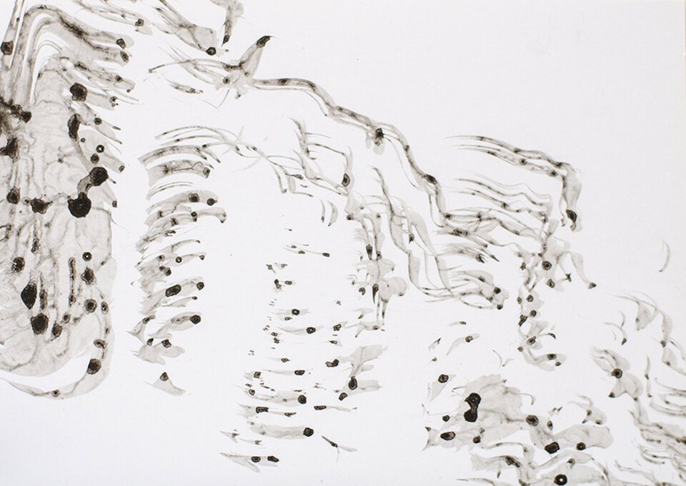 Anita Voigt - Serie Bewegung / Wasser 6057
