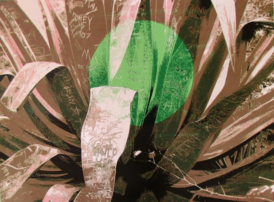 Anita Voigt - Agave bei Vollmond