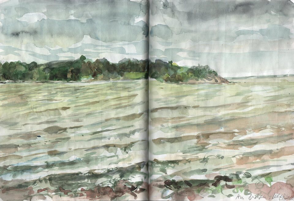 Anita Voigt: Klein Zicker