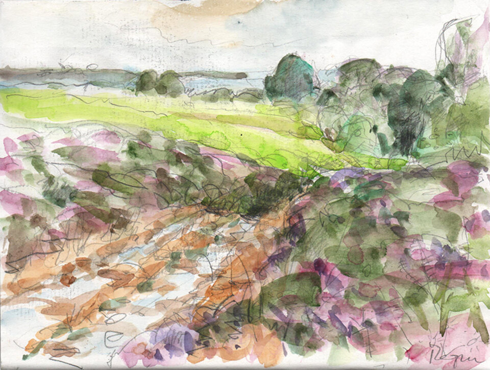 Anita Voigt: 12 / 23 Heide am Cap Frehel