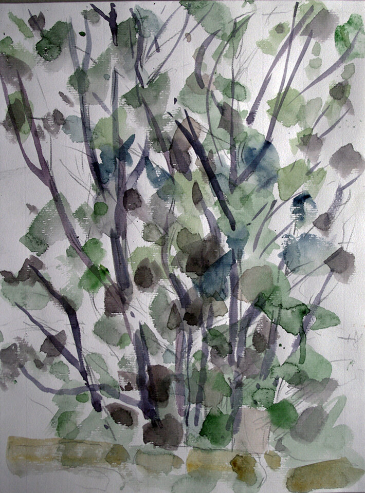 Anita Voigt: Bäume II / Ferrano