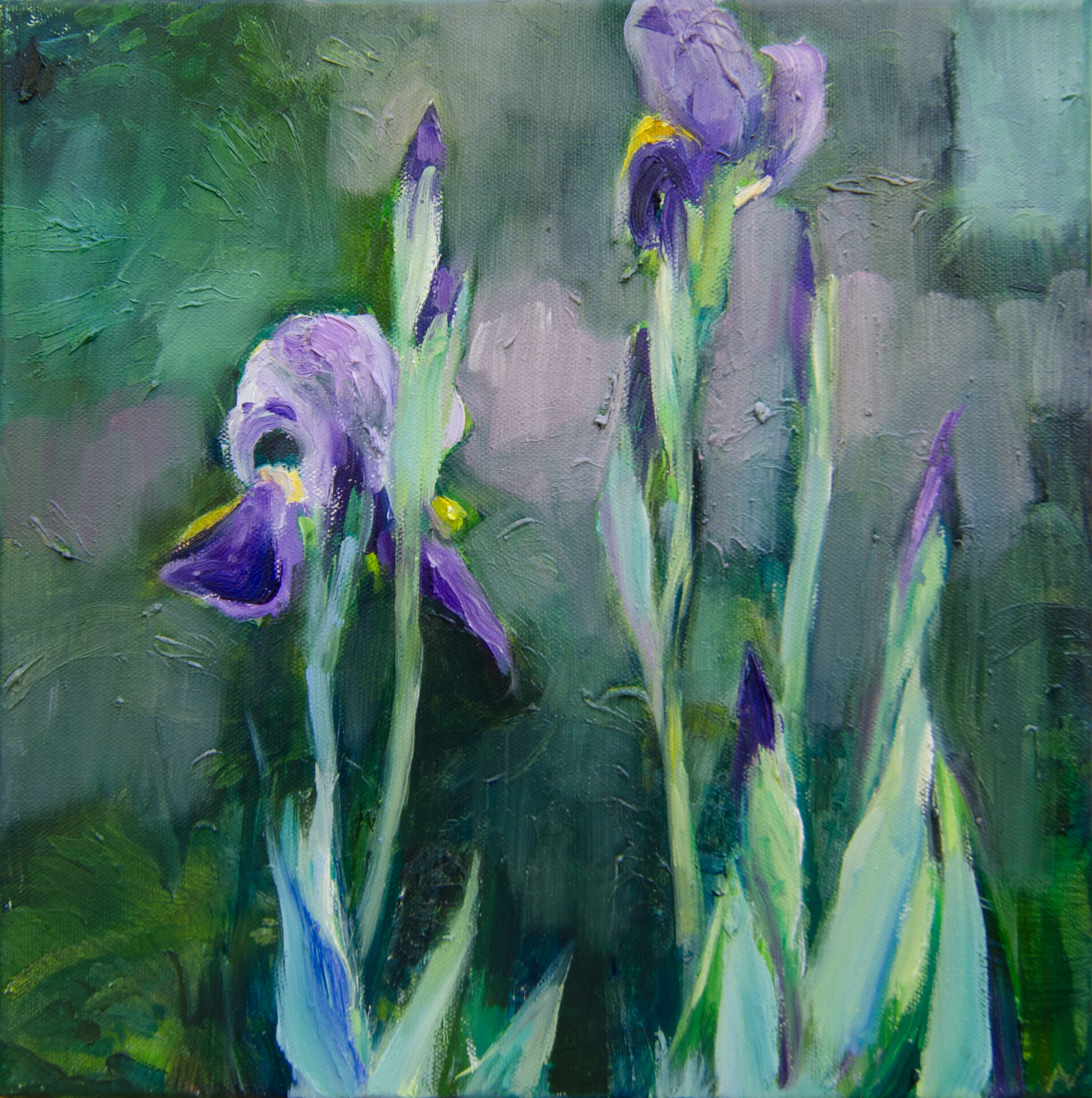 Anita Voigt: Iris