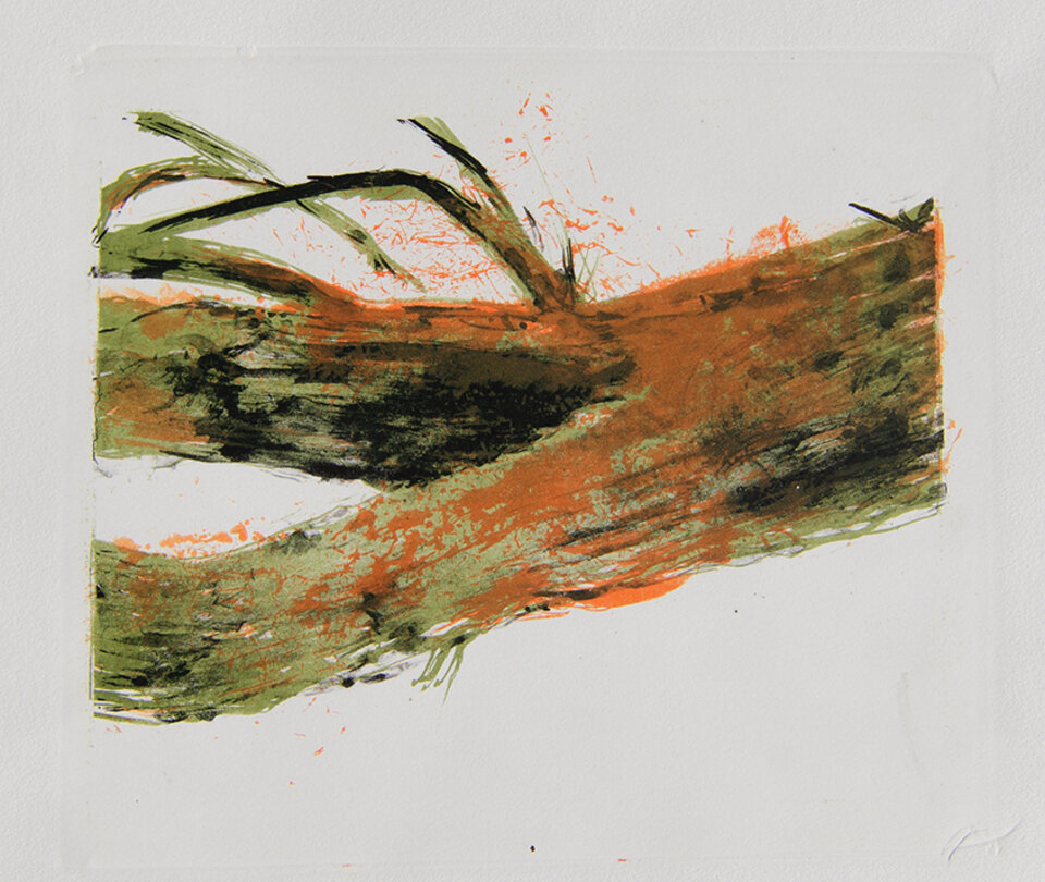 Anita Voigt: alter Ast II