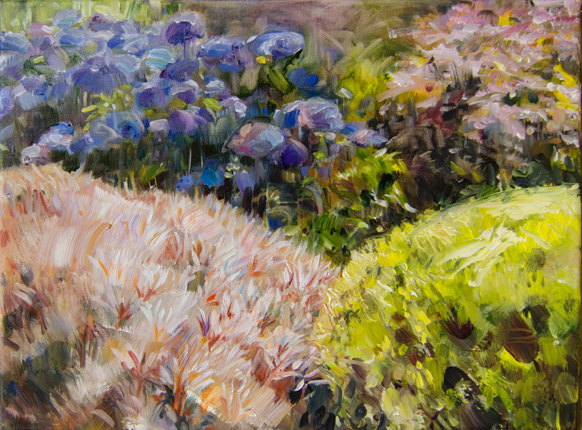 Anita Voigt - Hortensiengarten, Bretagne
