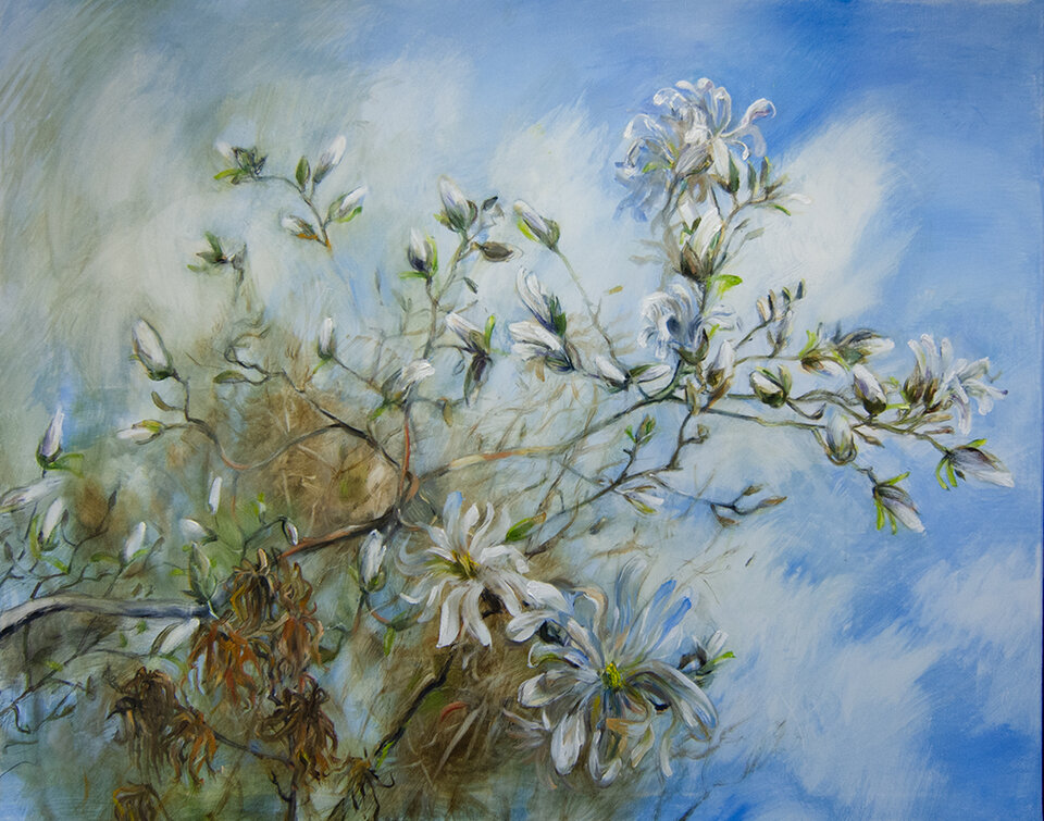 Anita Voigt: Magnolia