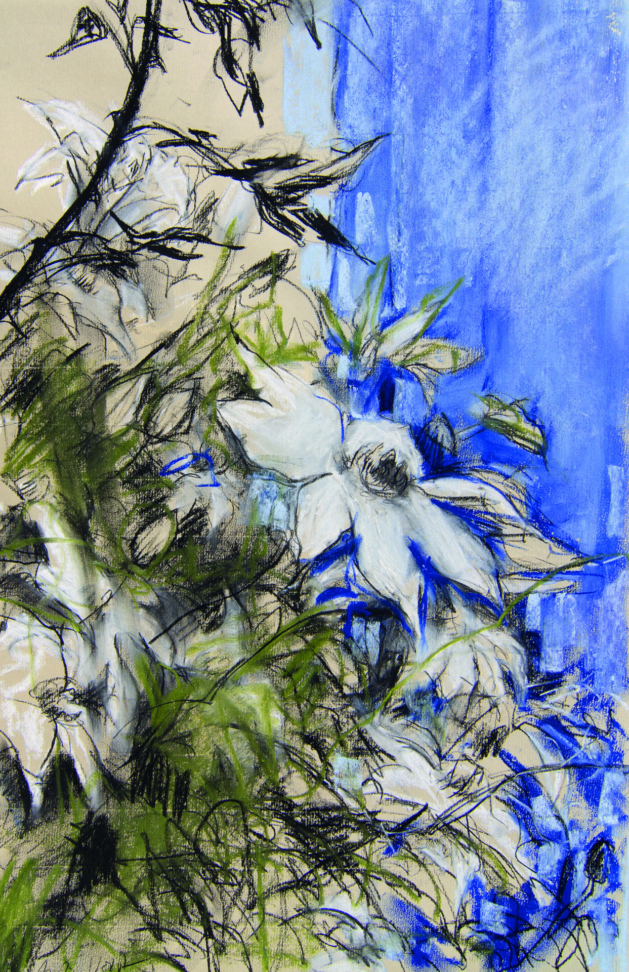 Anita Voigt: Clematis