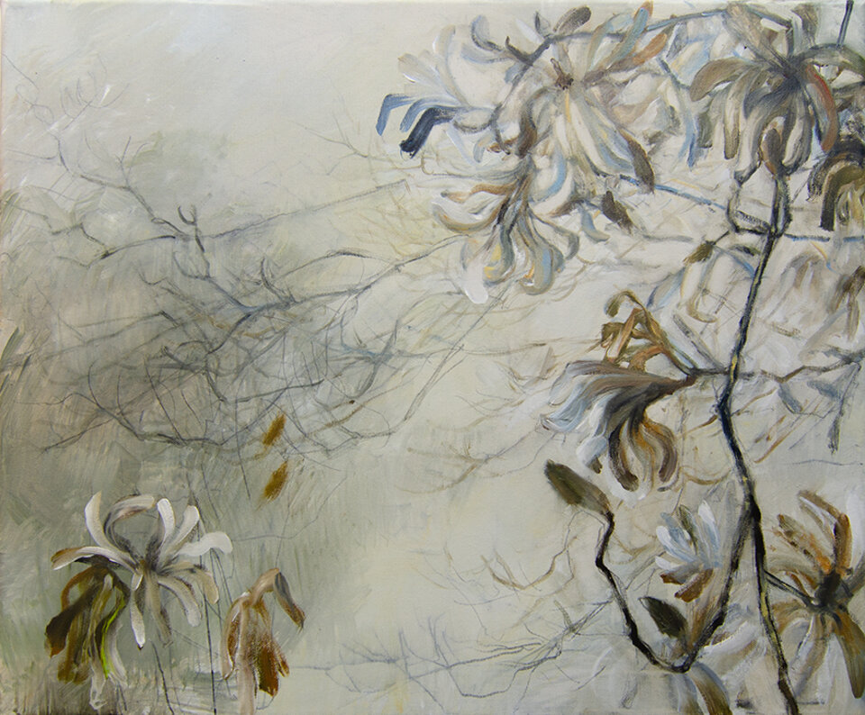 Anita Voigt: Sternmagnolie, diesiger Tag im April