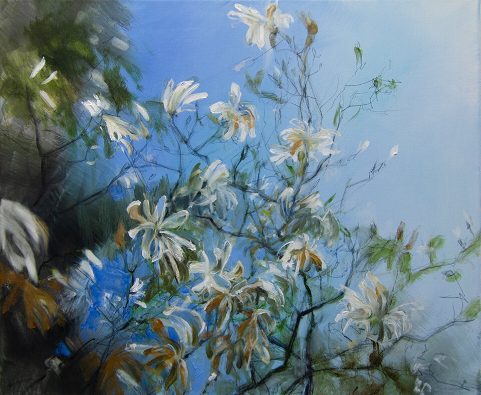 Anita Voigt - Sternmagnolie hinterm Atelier
