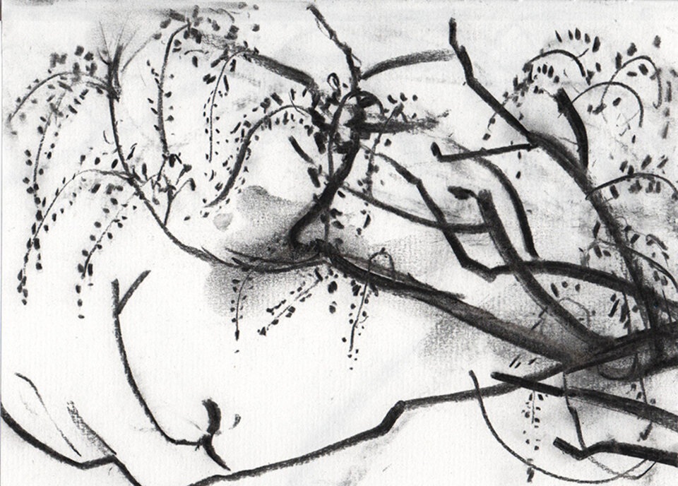 Anita Voigt: Glyzinie / 220502