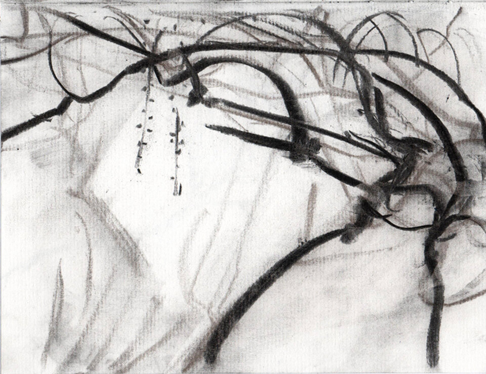 Anita Voigt - Glyzinie 220503