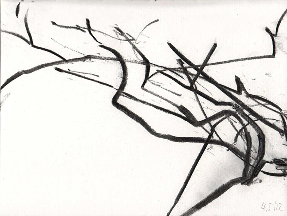 Anita Voigt: Glyzinie / 220506