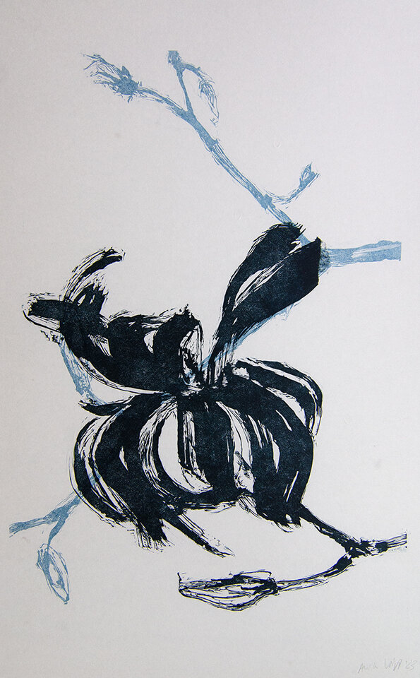 Anita Voigt: Magnolia I und II
