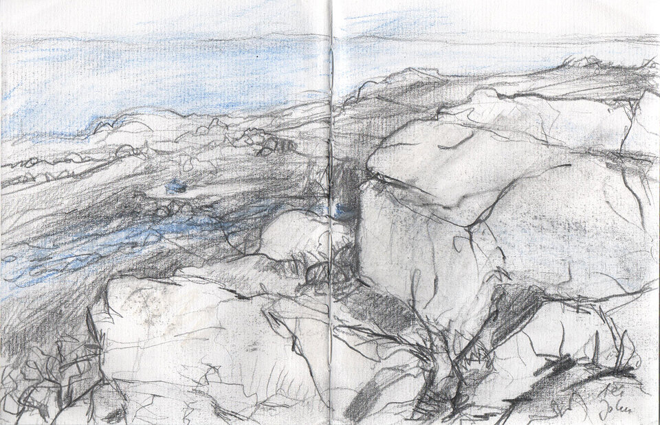 Anita Voigt: Wales, Johns Jurte