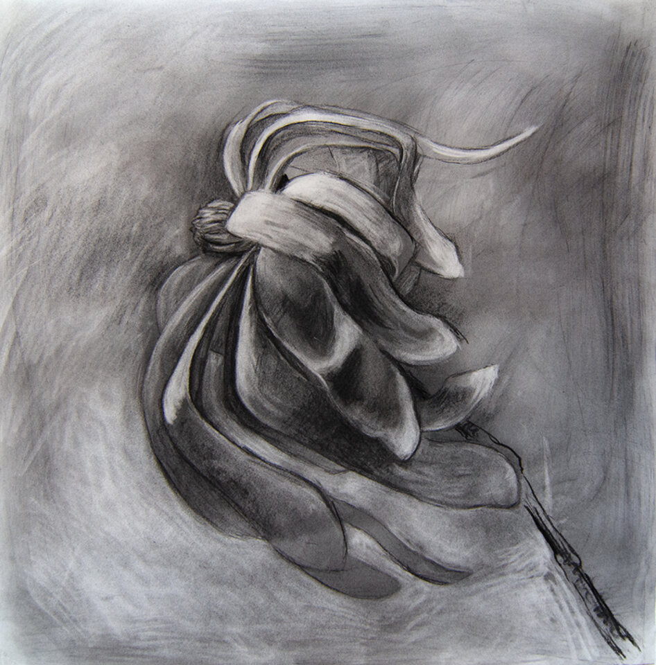 Anita Voigt: Magnolia 3