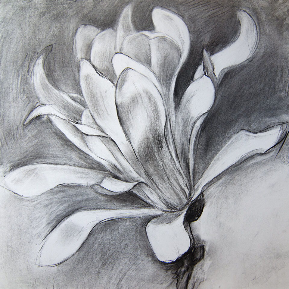Anita Voigt: Magnolia 1