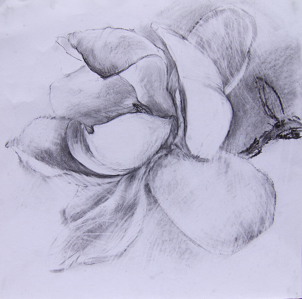 Anita Voigt - Magnolia 5