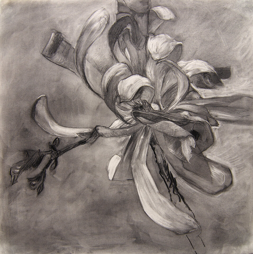 Anita Voigt: Magnolia 7