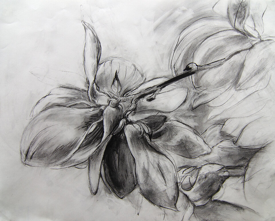 Anita Voigt: Magnolia 12