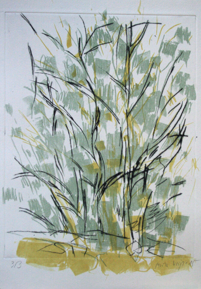 Anita Voigt: Sommer in Ferrano