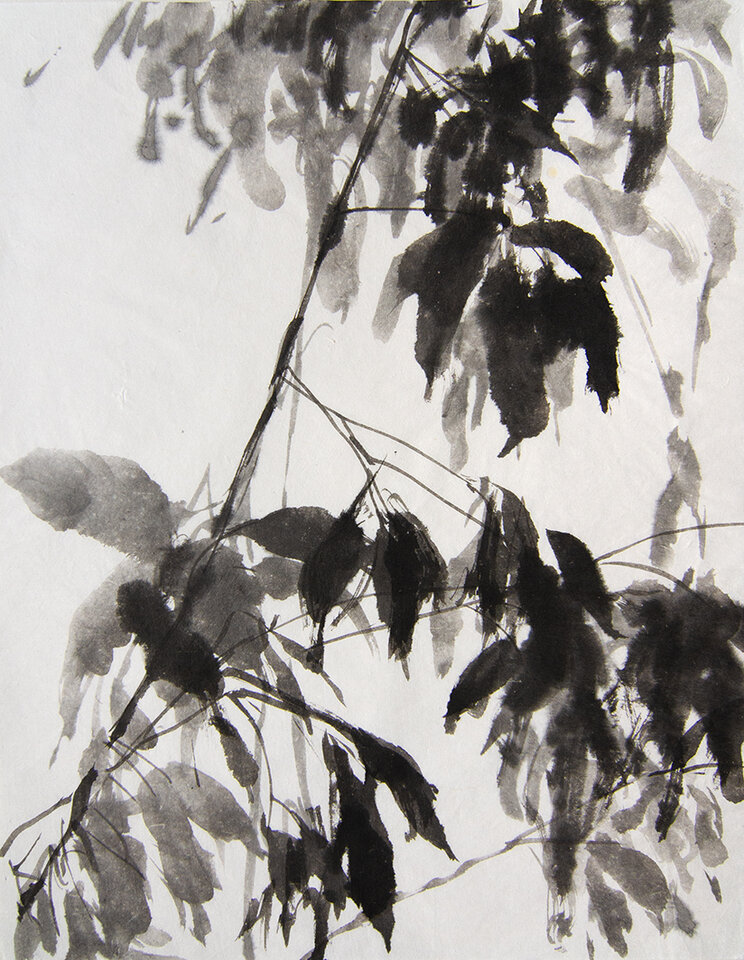 Anita Voigt: Aus dem Fenster, Herbst