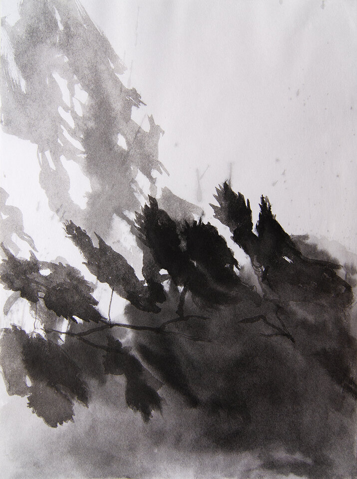 Anita Voigt: Herbstschatten