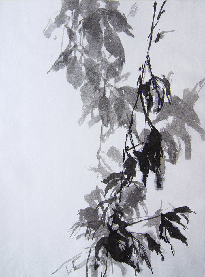 Anita Voigt: Rankender Wilder Wein, Herbstrot