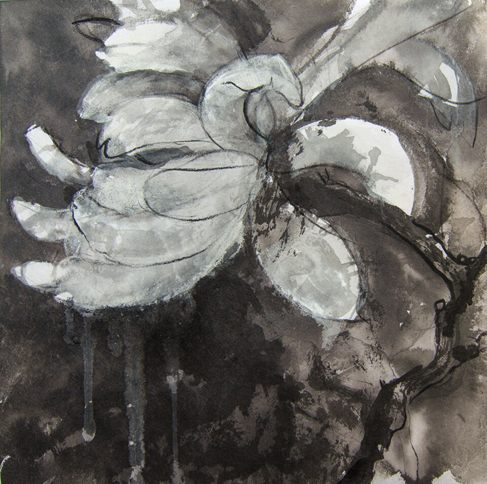 Anita Voigt: Magnolia 2603