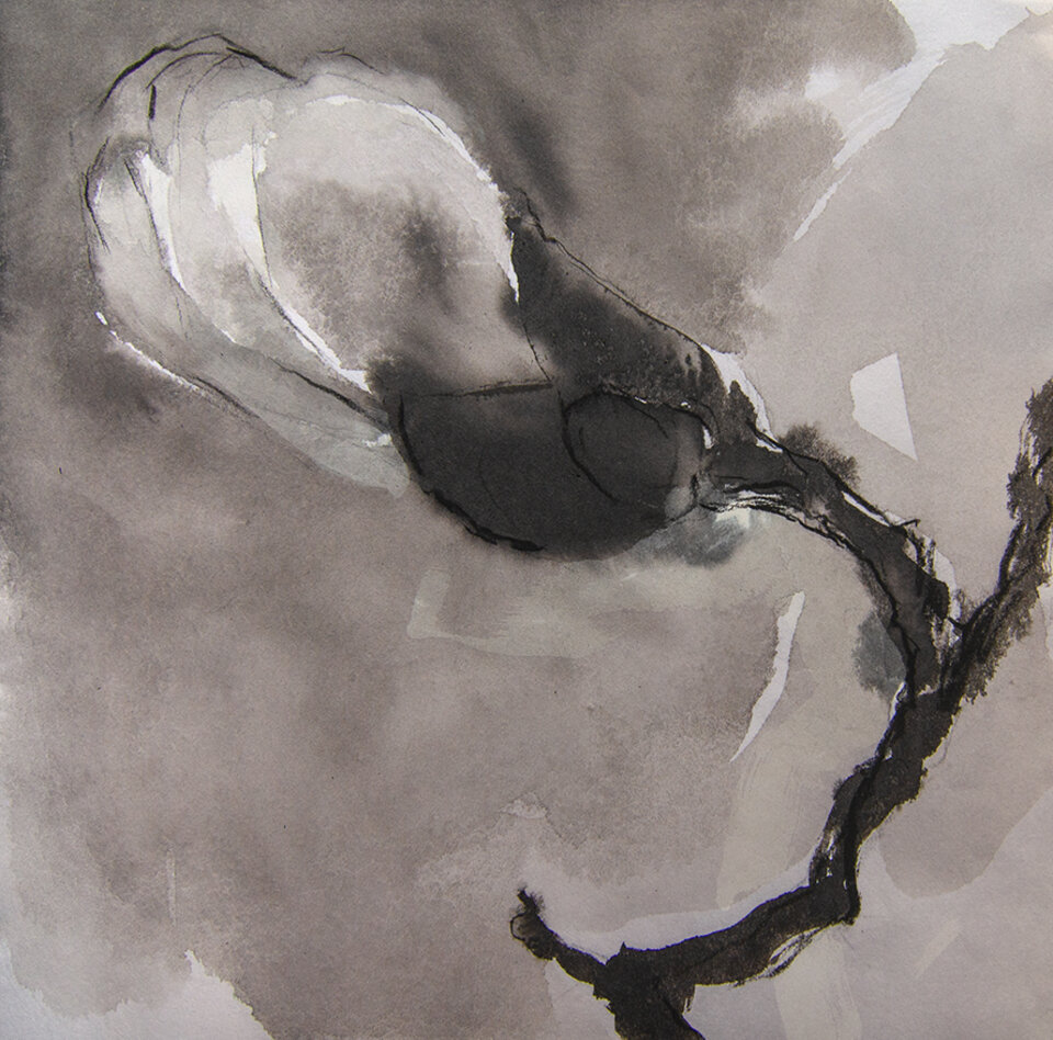 Anita Voigt: Magnolia 2602
